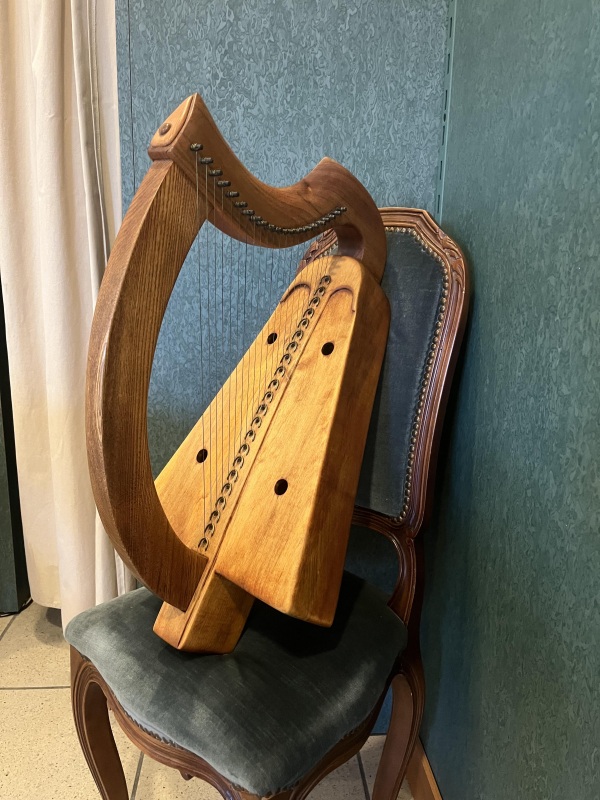 ARPA IRLANDESE